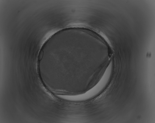 X0000091201277200708301553