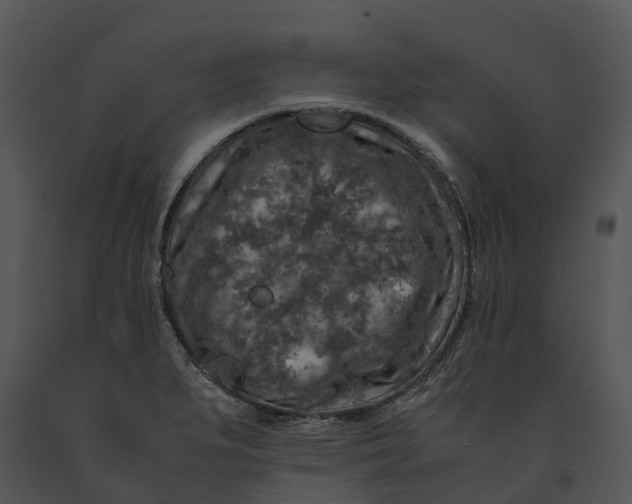 X0000091201279200708301553