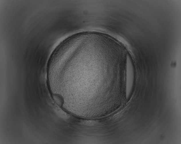 X0000091201280200708301553