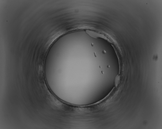 X0000091201281200708301553