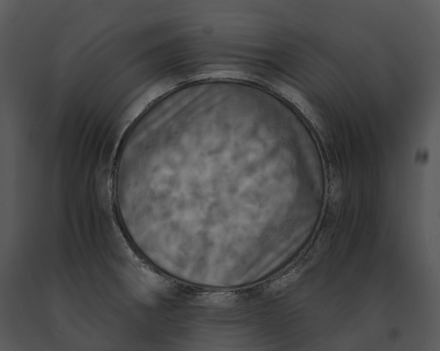 X0000091201282200708301553