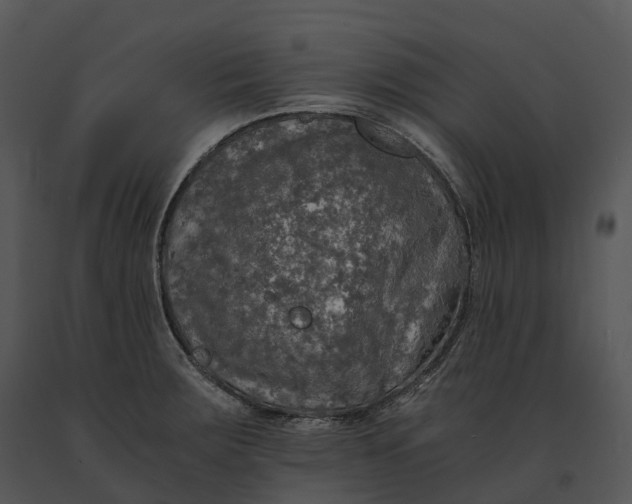 X0000091201283200708301553