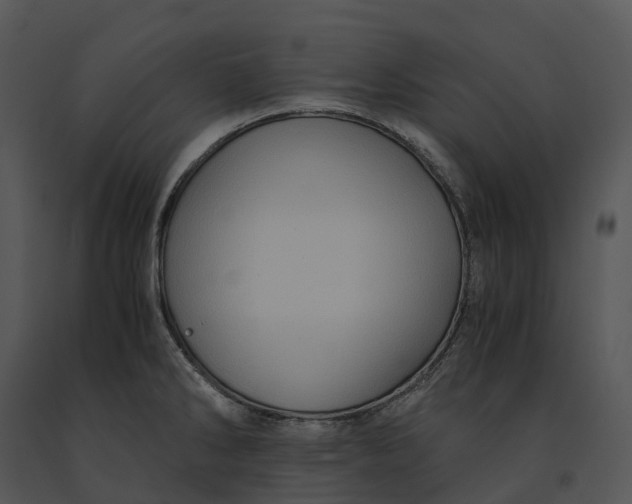 X0000091201286200708301553