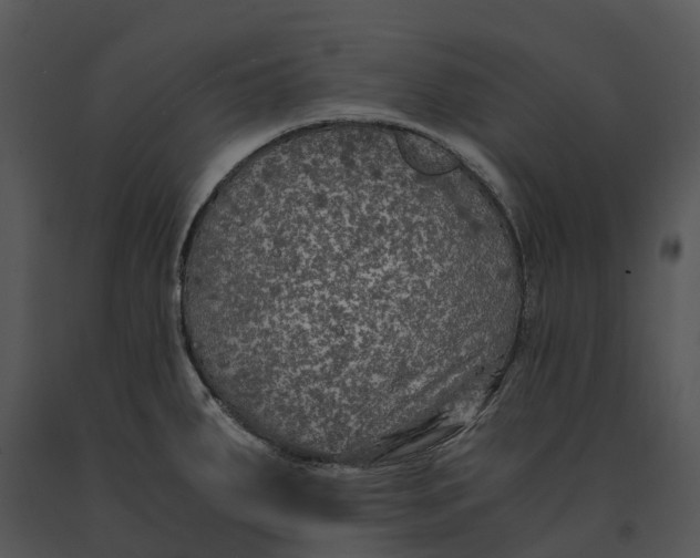 X0000091201287200708301553