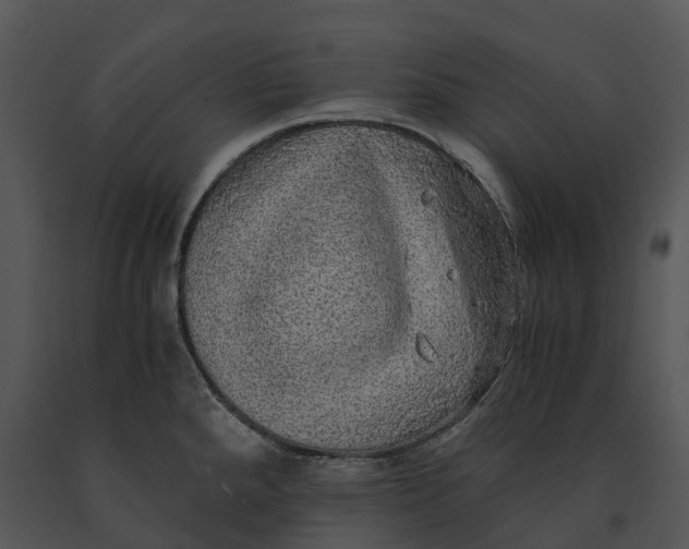 X0000091201288200708301553
