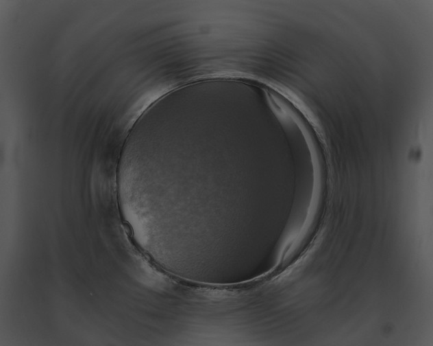 X0000091201289200708301553