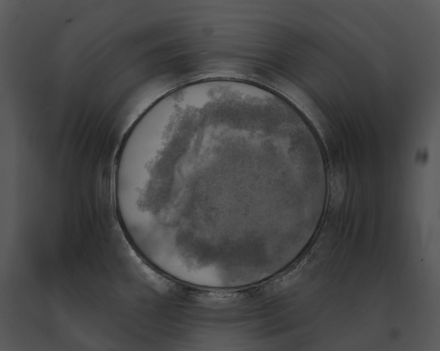 X0000091201290200708301553