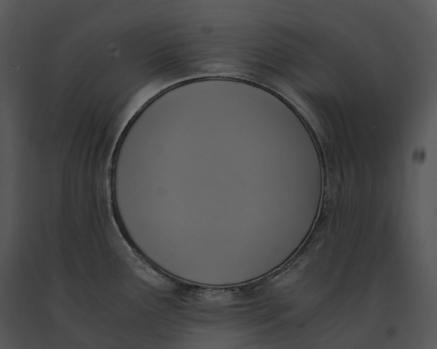 X0000091201291200708301553