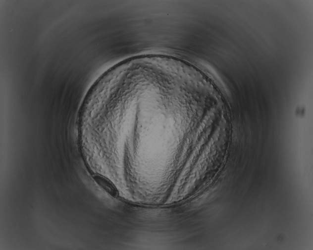 X0000091201292200708301553