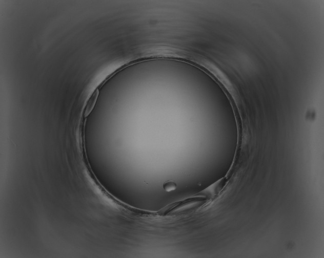 X0000091201293200708301553