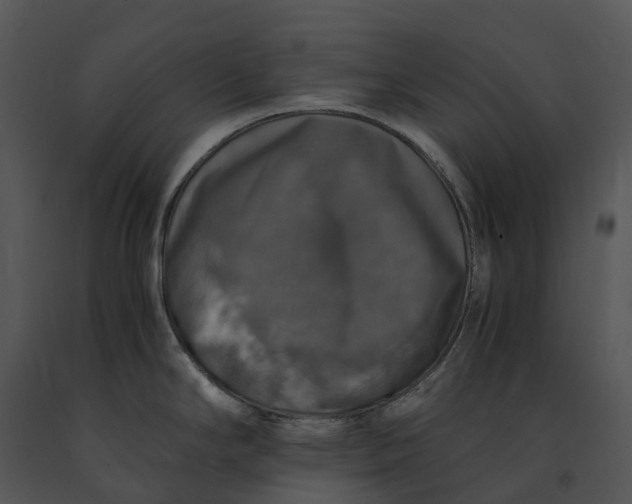 X0000091201294200708301553