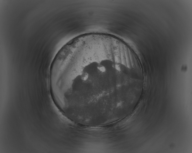 X0000091201295200708301553