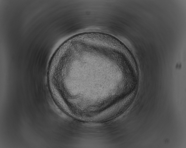X0000091201296200708301553