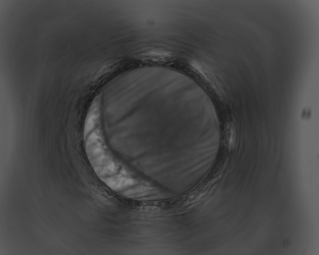 X0000091201297200708301552