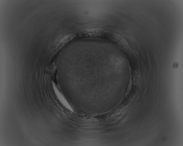 X0000091201298200708301552