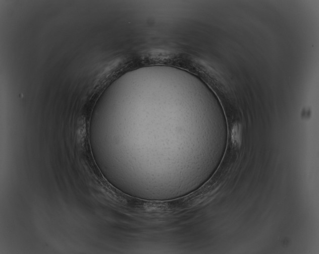 X0000091201299200708301552