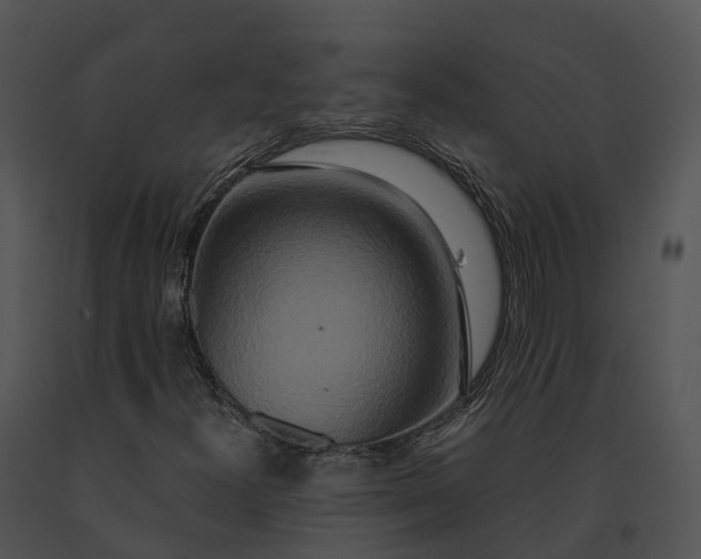 X0000091201300200708301552
