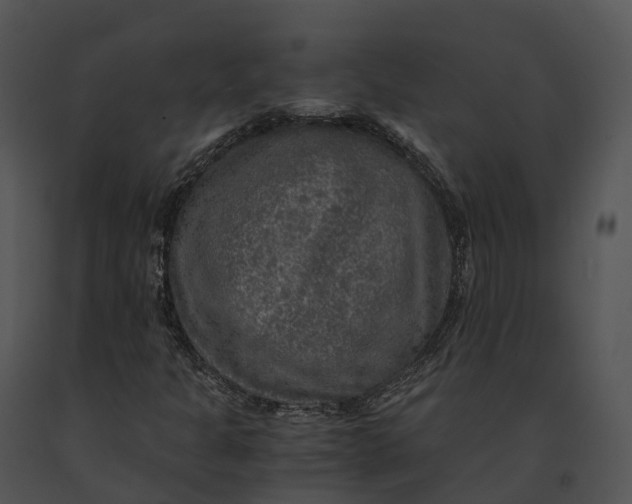 X0000091201301200708301552