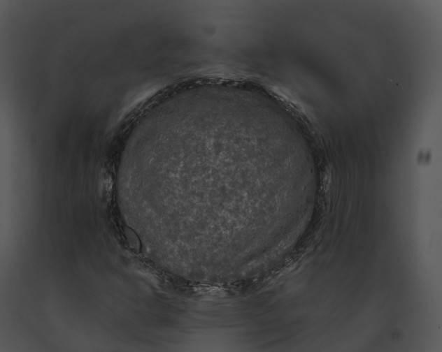 X0000091201302200708301552