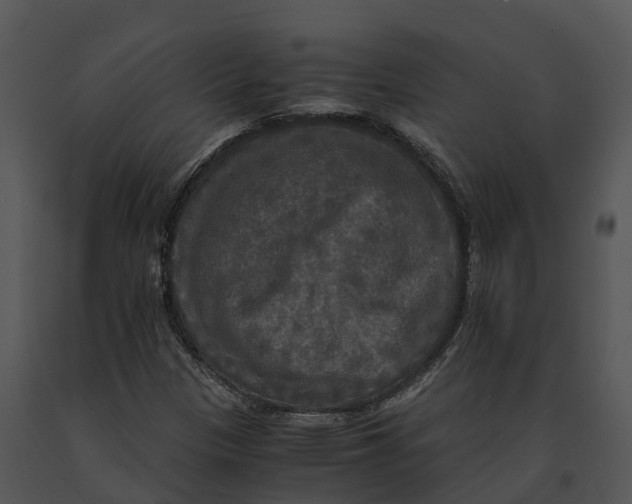 X0000091201305200708301552