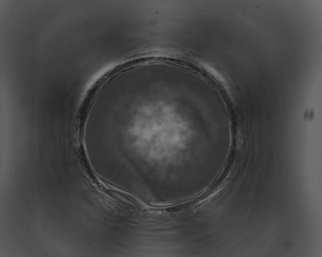 X0000091201310200708301552