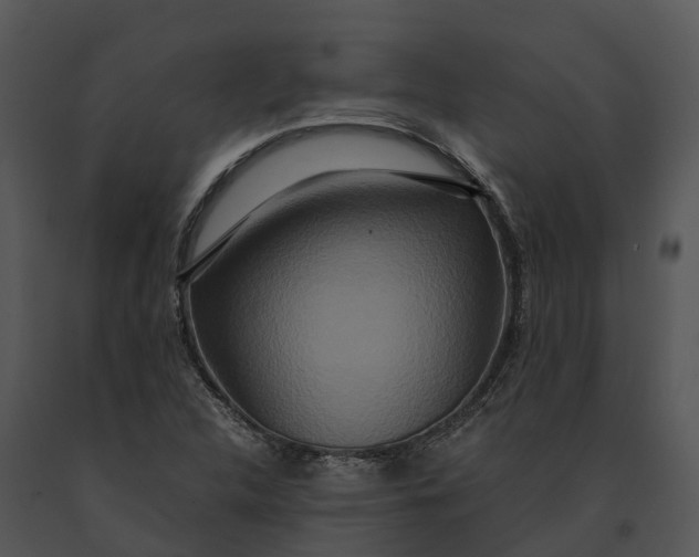 X0000091201312200708301552