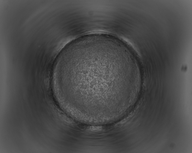 X0000091201313200708301552