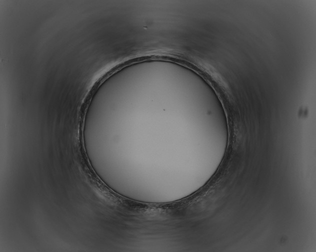 X0000091201316200708301552