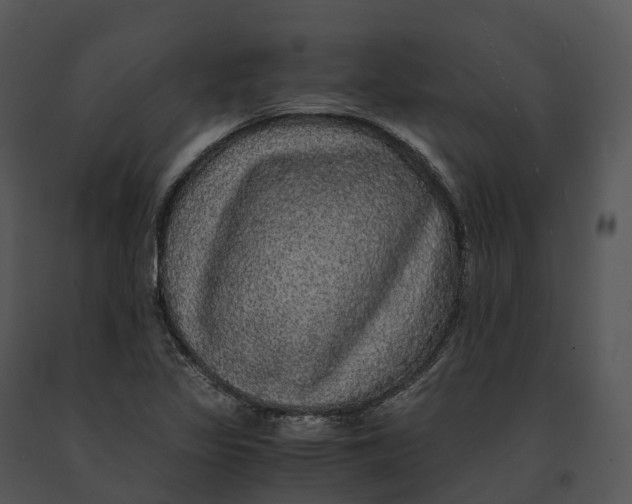 X0000091201317200708301552