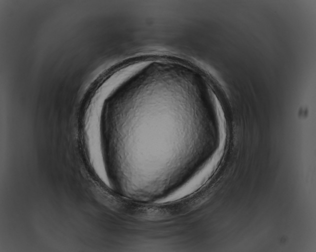 X0000091201318200708301552