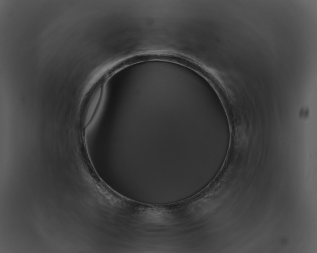 X0000091201319200708301552