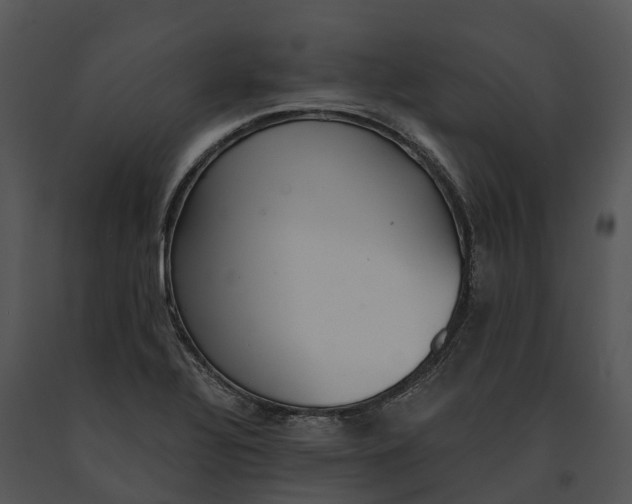 X0000091201320200708301552