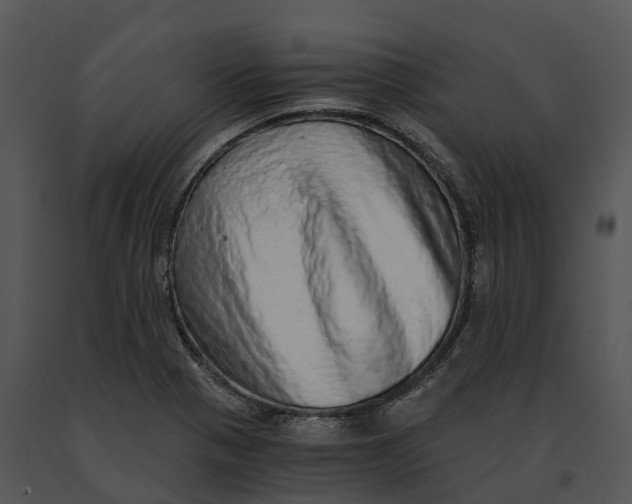X0000091201321200708301552