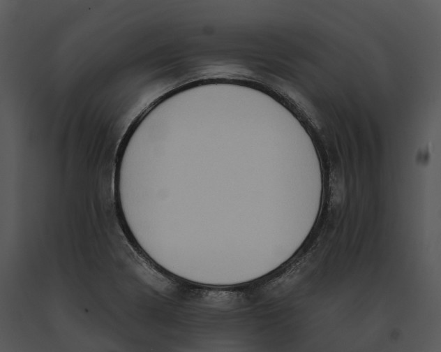 X0000091201322200708301552