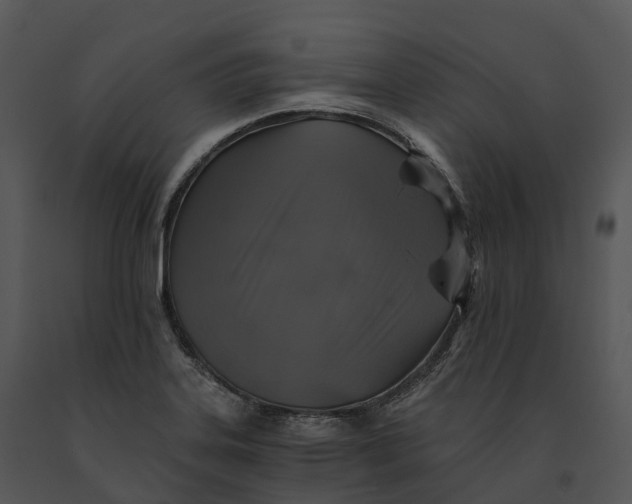 X0000091201323200708301552