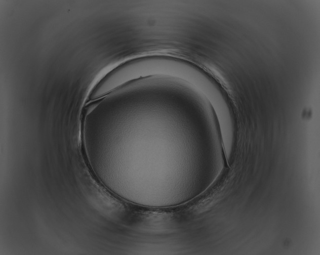 X0000091201324200708301552