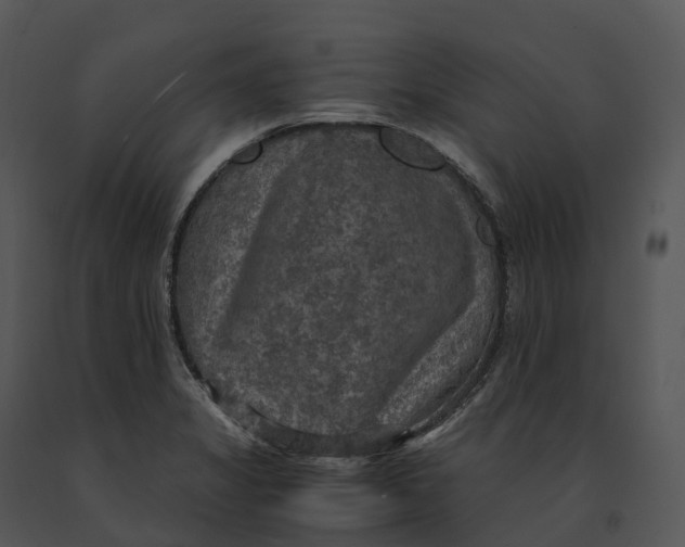 X0000091201325200708301552