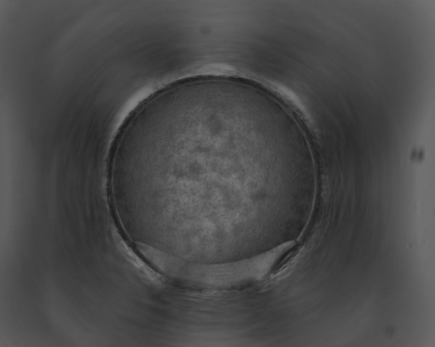 X0000091201326200708301552