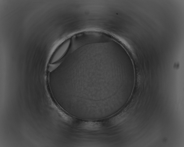 X0000091201327200708301552