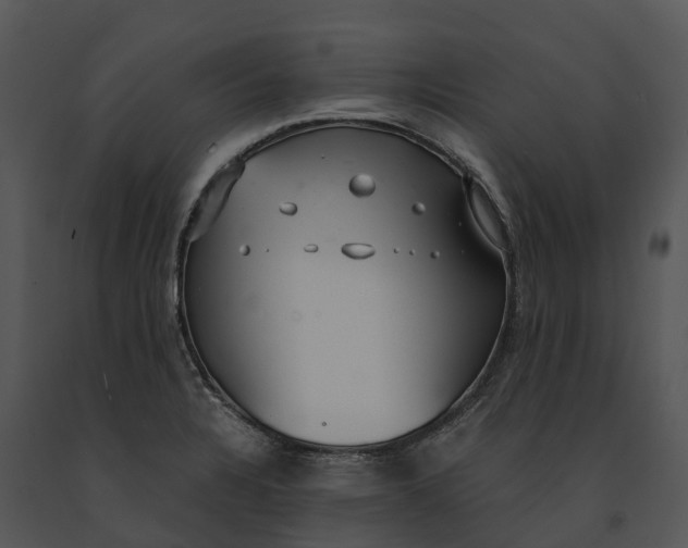 X0000091201328200708301553