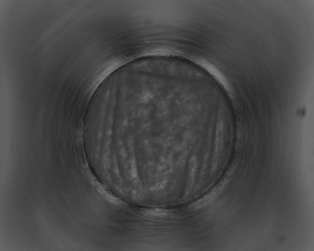 X0000091201329200708301553