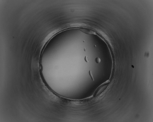 X0000091201330200708301553