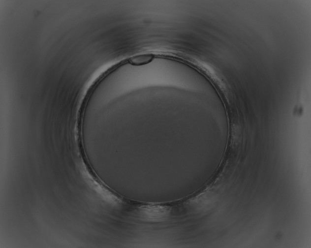 X0000091201331200708301553