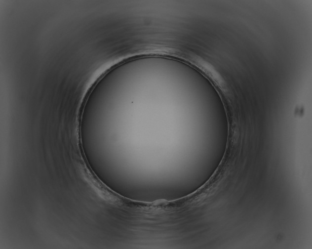 X0000091201332200708301553