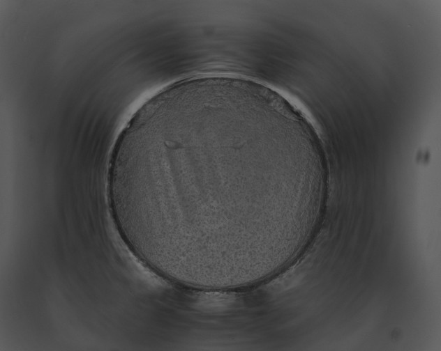X0000091201333200708301553
