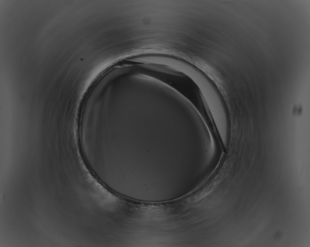 X0000091201334200708301553