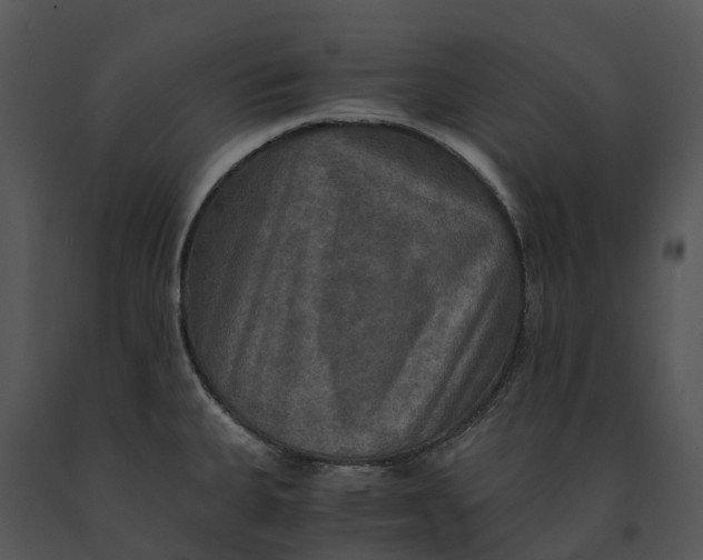 X0000091201335200708301553