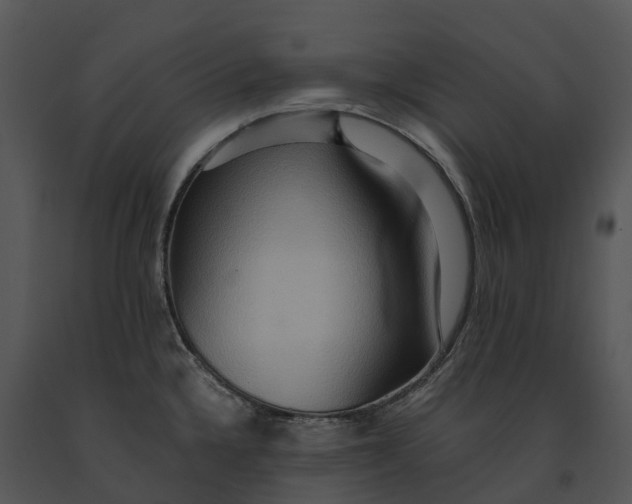 X0000091201336200708301553