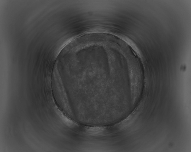 X0000091201337200708301553