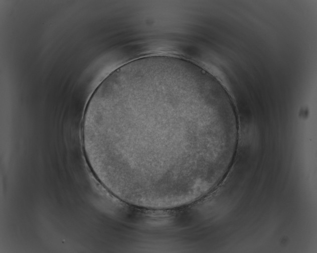 X0000091201338200708301553